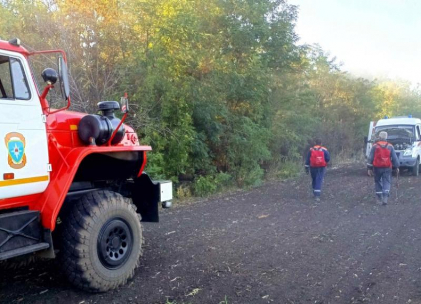 Спасателям удалось восемь раз спасти жизни в октябре