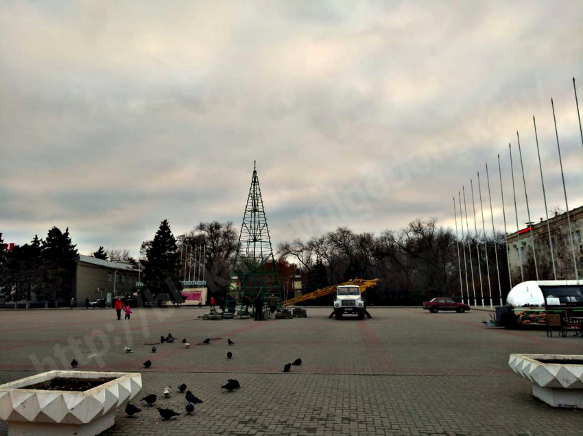 К концу недели в Волгодонске зажгутся главные городские ёлки