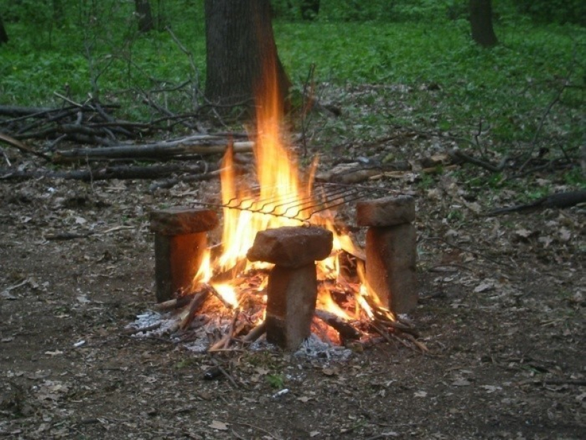 Волгодонцам запретили жарить шашлыки в лесных массивах 
