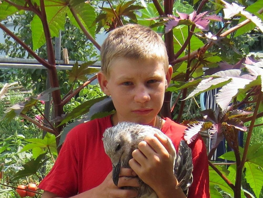 В Волгодонске пропал 13-летний Анатолий Климов
