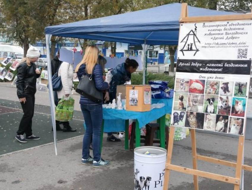 Снег и холод не остановят волгодонцев от проведения благотворительной акции