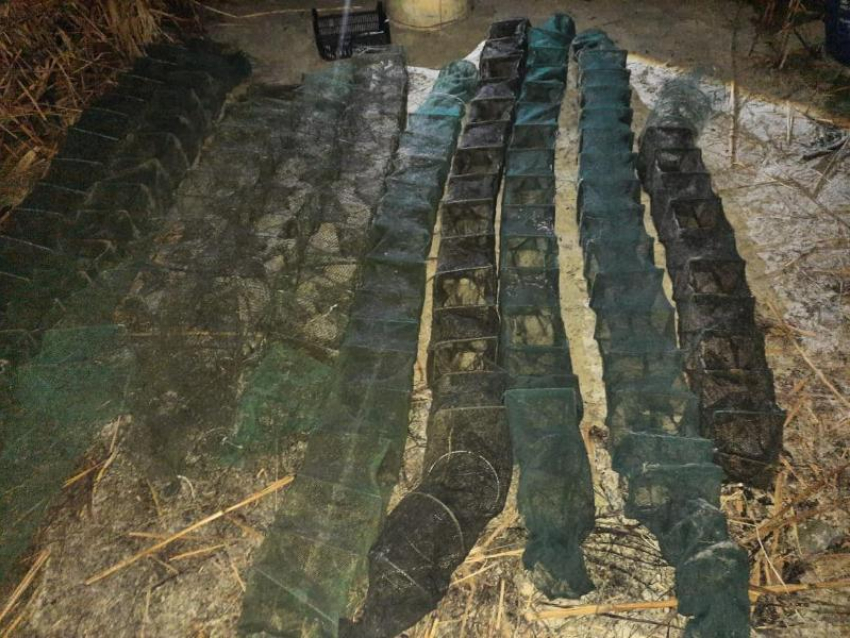 В Волгодонске введут временный запрет на ловлю тарани и плотвы