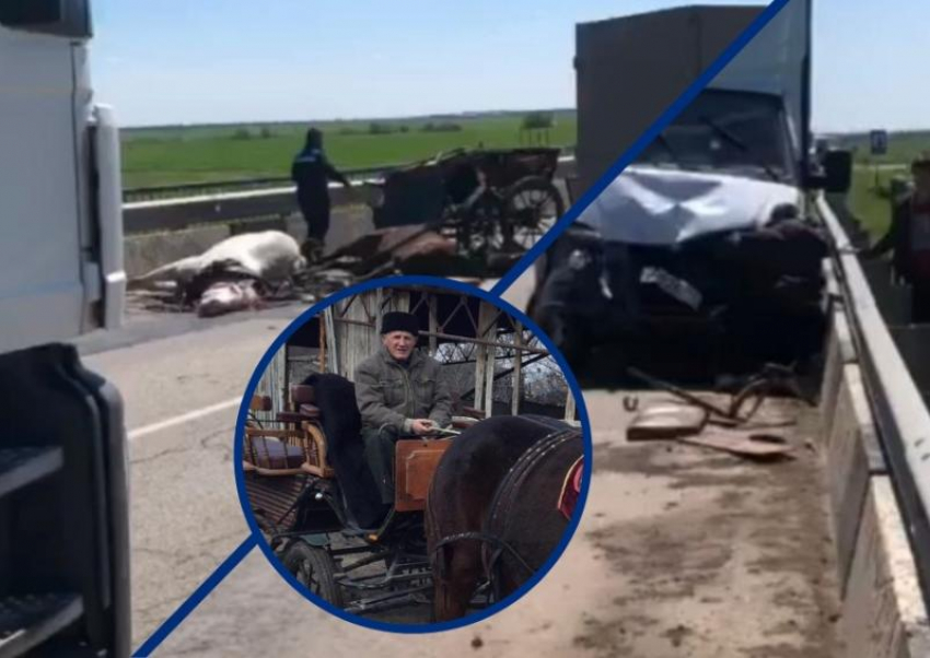 «Зеваки снимали на видео, но не помогали»: в аварии под Волгодонском погиб мужчина и две лошади 