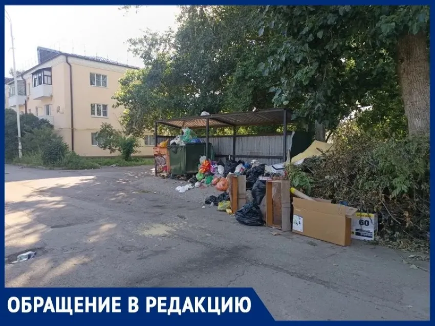 «Мусорка с горкой»: жильцы улицы Чехова бьют тревогу из-за исчезнувших контейнеров