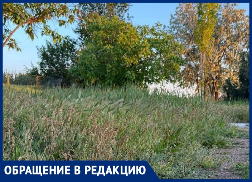 «Администрации Волгодонска плевать на нашу набережную?»: обращение недовольного жителя 