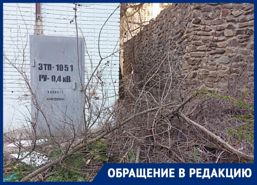 «Любой окурок может превратить кучу этих веток в факел»: волгодончанка