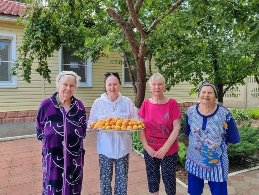 Золотой урожай здоровья: абрикосовый праздник устроили в Центре социального обслуживания №1