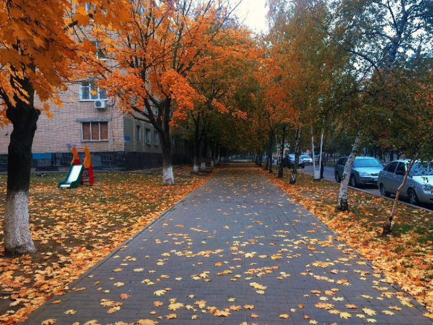 Последний день сентября в Волгодонске обещает быть теплым, но пасмурным