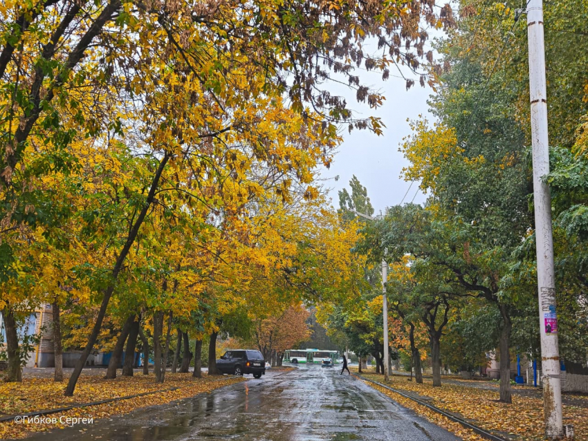 Пасмурно и зябко будет сегодня в Волгодонске 