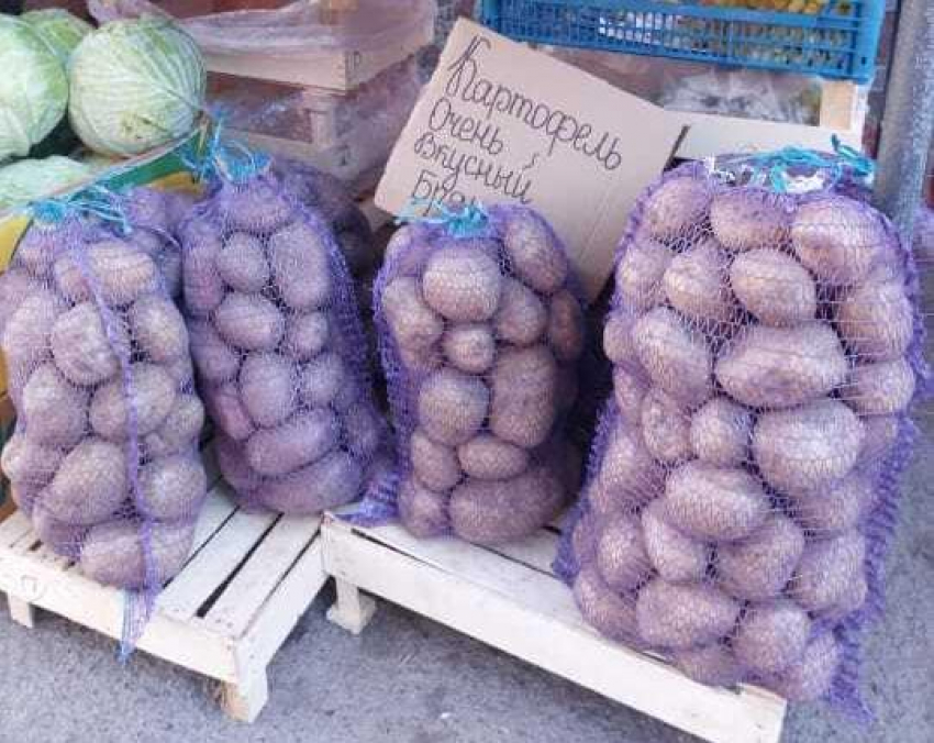 Красный, желтый, зеленый: как выбрать безопасный картофель на рынках Волгодонска и Цимлянска