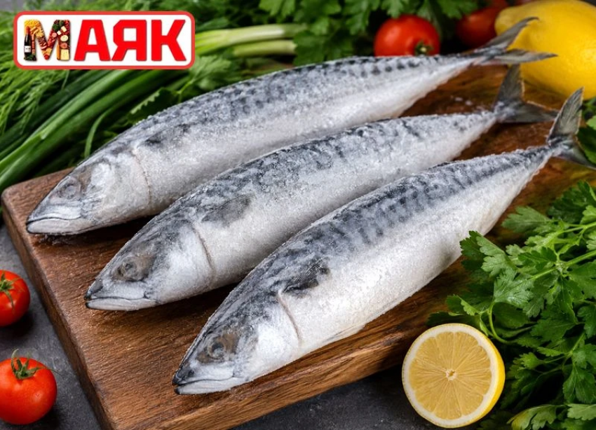 Товар дня: скумбрия свежемороженая  за 199,90 ₽/кг