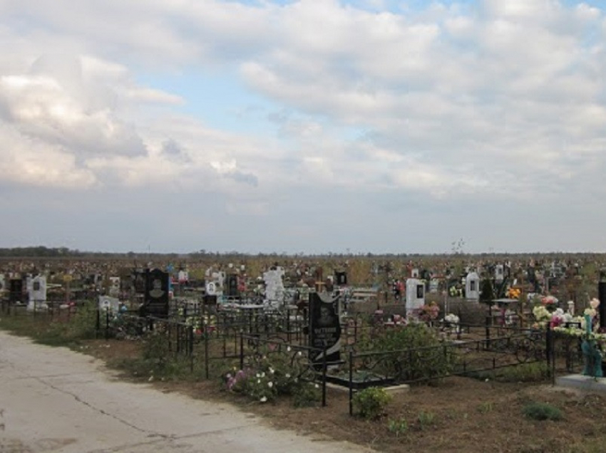 На всех кладбищах Волгодонска проведут химическую обработку