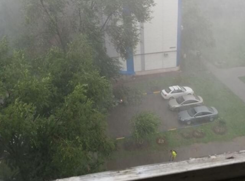 «Последствия непогоды»: ветер повалил деревья на машины в квартале В-У