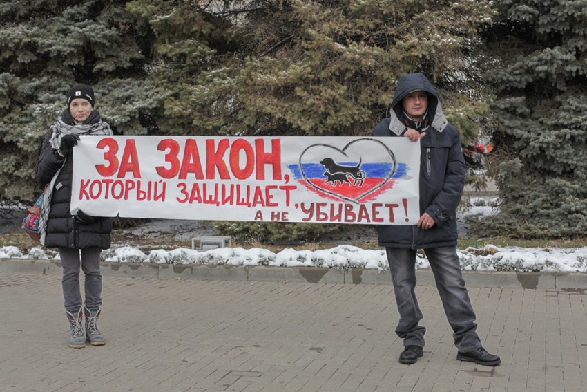 «Администрация города - услышьте нас!» - зоозащитники прошествовали по центральной улице Волгодонска и записали обращение к Путину