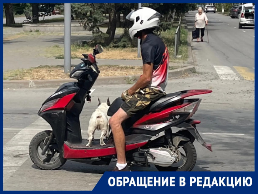 «Собака-байкер»: мужчина и его пес рассекают на скутере по Волгодонску 