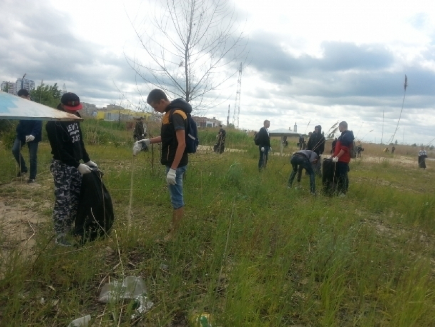 В уборке береговой зоны Цимлянского водохранилища были привлечены студенты и волонтеры