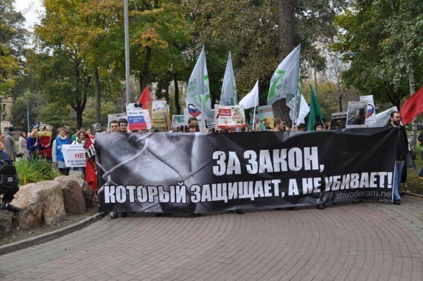 В Волгодонске готовят митинг в поддержку ужесточения закона о жестоком обращении с животными