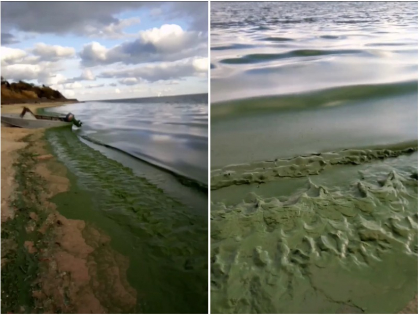 Видео с запахом: во что превратилось Цимлянское водохранилище