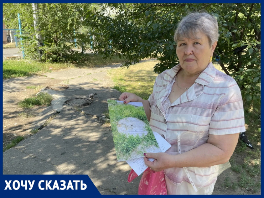 «Голодные крысы атакуют детскую площадку и голубей!»: жители Черникова, 19 напуганы грызунами