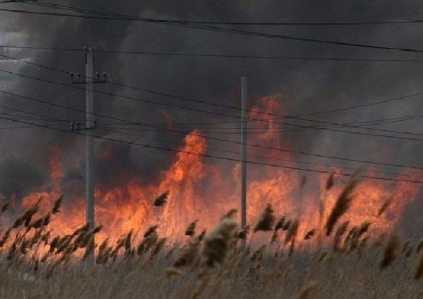 За поджоги сухой травы в Волгодонске можно получить крупный штраф 