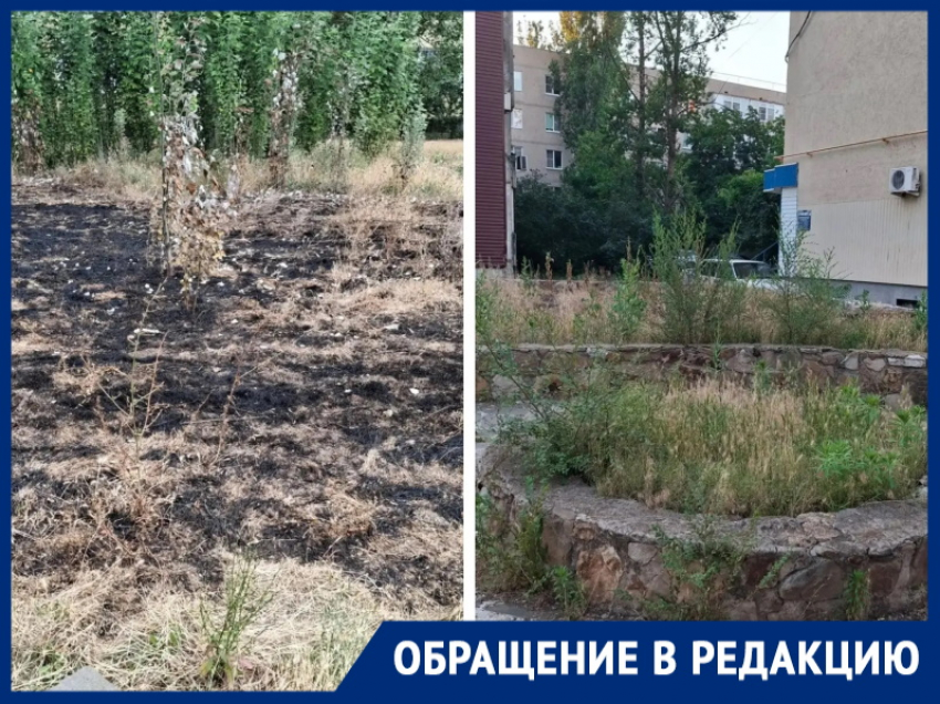 «Кто отвечает за этот сквер?»: жильцы ближайших домов утверждают, что за «Казаком» не убирают с прошлого года
