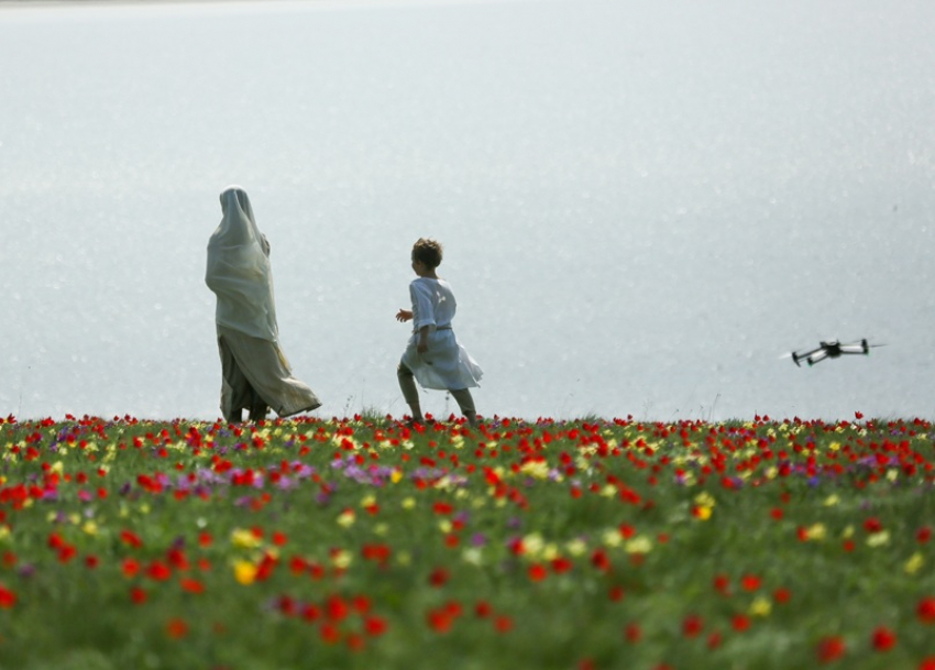 Часть сцен нового исторического сериала «Князь Андрей» сняли на востоке Ростовской области на тюльпанных полях