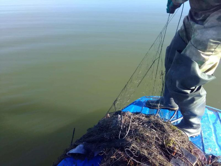 На Цимлянском водохранилище прошел месячник поиска брошенных сетей