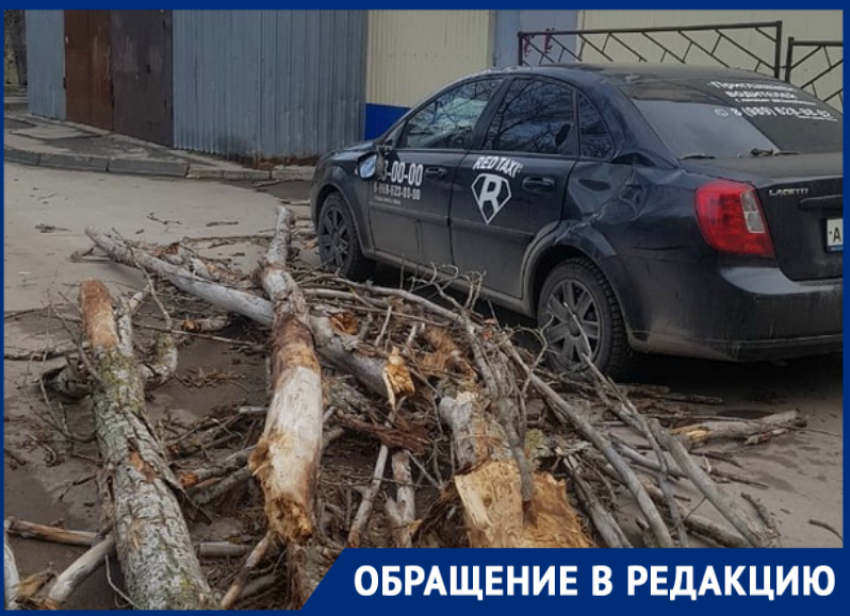 Разбушевавшийся ветер повалил сухие деревья на автомобили на Ленина  