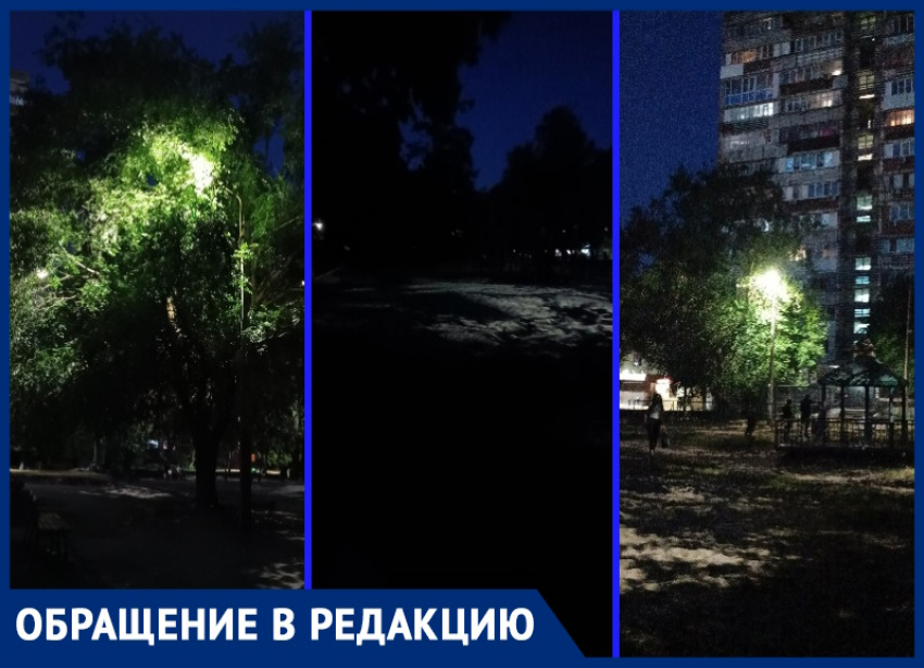 «Все фонари заросли деревьями»: сквер «Дубовая роща» в Юго-Западном районе Волгодонска