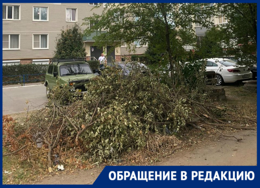 «Спиленные ветки не убираются месяц»: волгодонцы о свалке во дворе на Гагарина