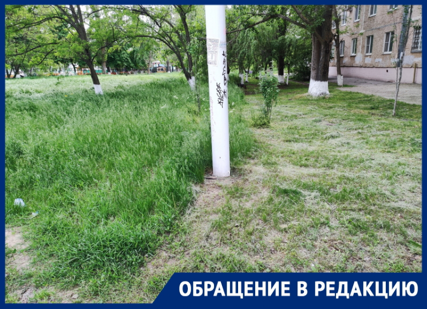 Хаотичный покос травы на улицах Волгодонска удивил местных жителей