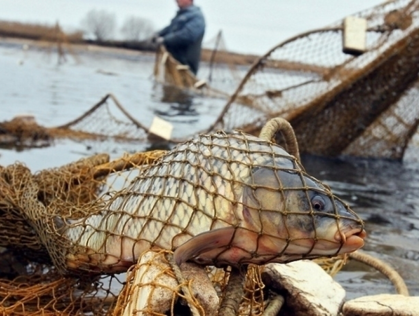 В Волгодонском районе поймали браконьера с запрещенными орудиями лова