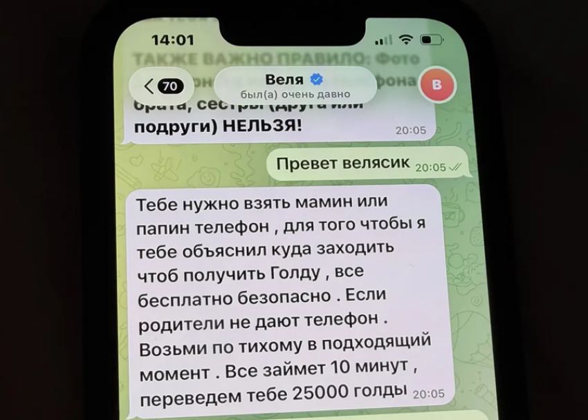 «Открой телефон мамы и бабушки за голду»: 8-летних детей из Волгодонска склоняют к проникновению в телефоны родителей и родственников