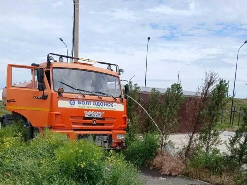 Не дают им засохнуть: коммунальщики поливают деревья в парке «Молодежный»