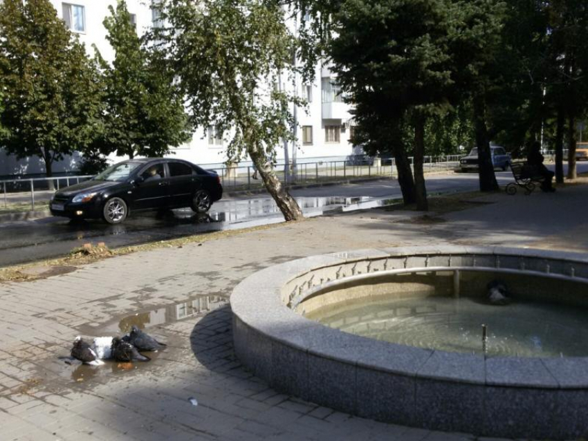 Фонтаны на 50 лет СССР остановили из-за вандалов и мусора