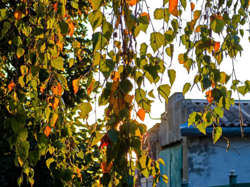 Сегодняшний день в Волгодонске будет холодным