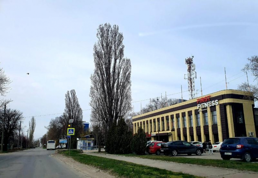 Спортивные школы и фитнес-центры закрыты в Волгодонске на карантин 