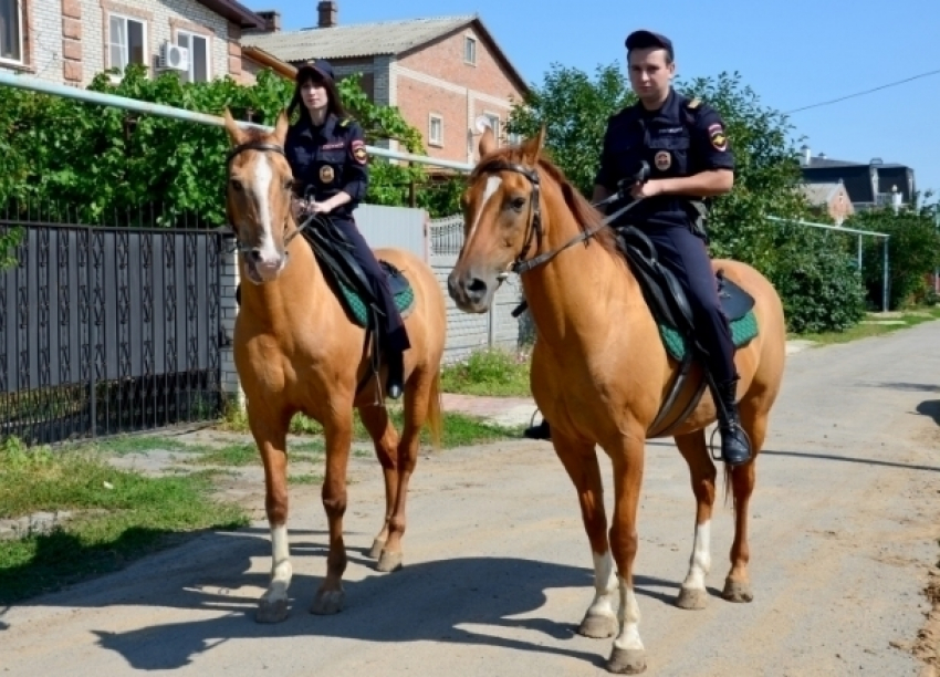 Единственная в области конная кавалерия помогла задержать преступную группу в Волгодонске