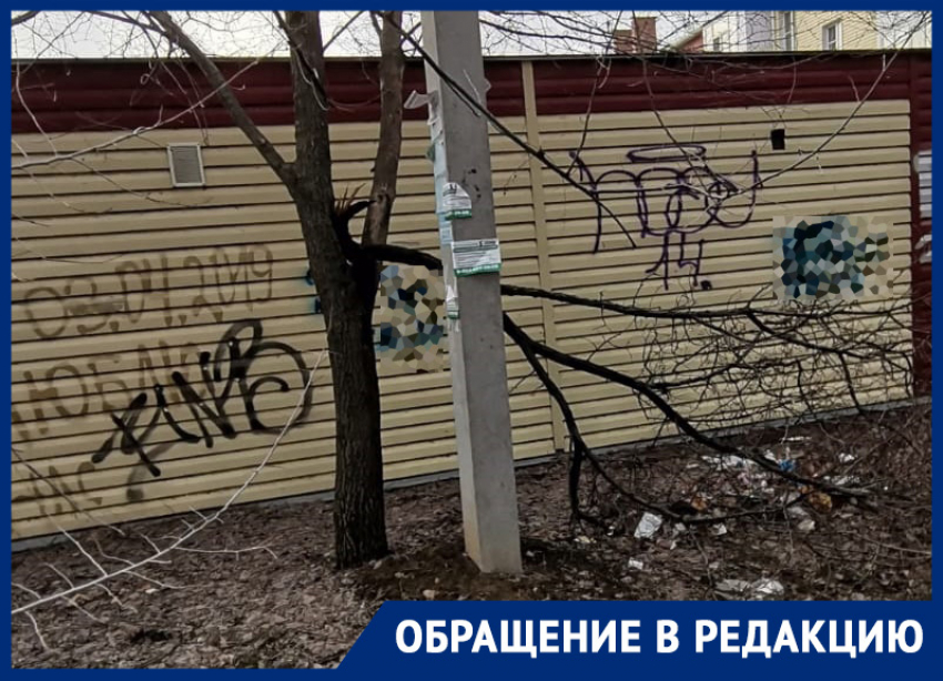 Мусор, поваленные деревья и надписи на заборе: волгодонцы показали состояние двора на Гагарина