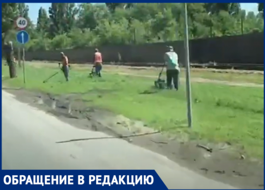 «А что так мало?»: порядка десяти коммунальщиков, косящих траву в одном месте, удивили волгодонца 