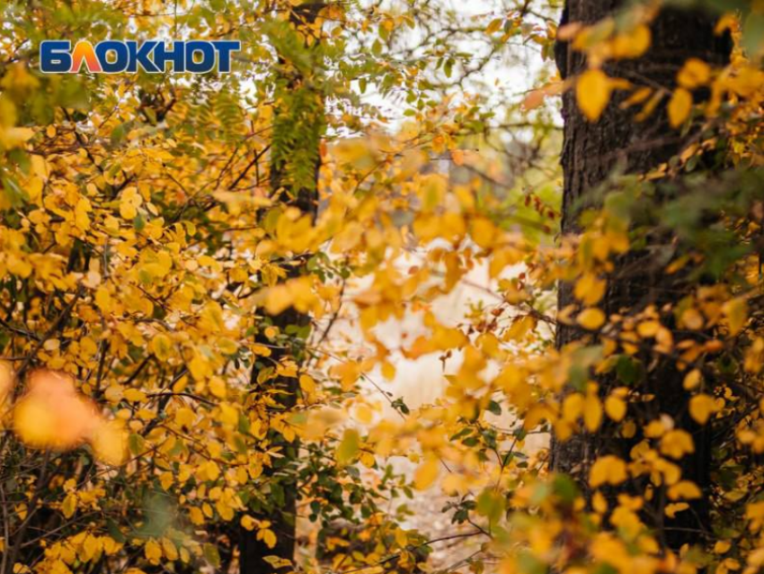 Сегодня в Волгодонске будет облачно