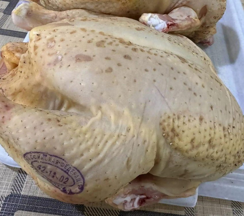 Волгодонские ветеринары предупреждают об опасности сальмонеллеза птиц для человека