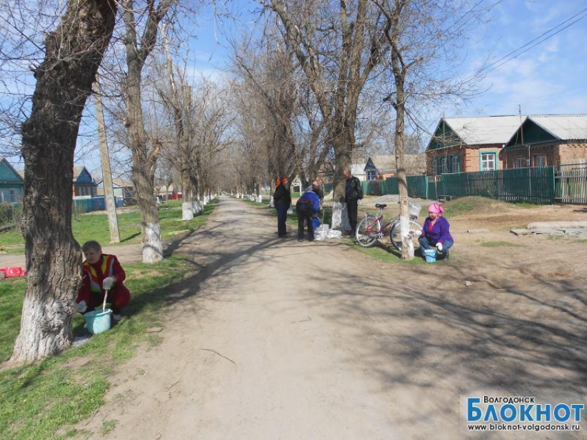 Дубовчане наводили чистоту  всем селом