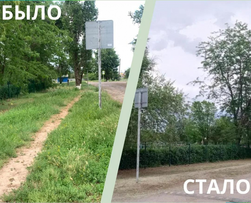 В Орловском районе должностное лицо наказали за неухоженный участок