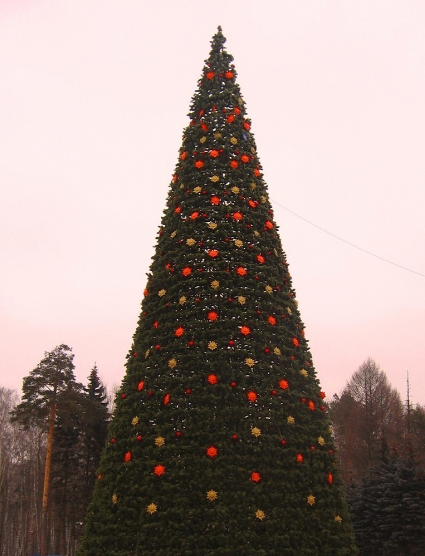 На приобретение новогодней елки для площади Победы из бюджета Волгодонска хотят потратить 2 миллиона рублей