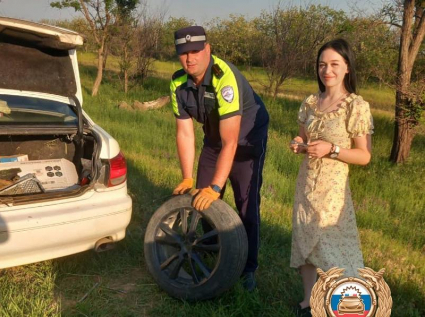 Инспекторы ДПС умеют не только штрафовать