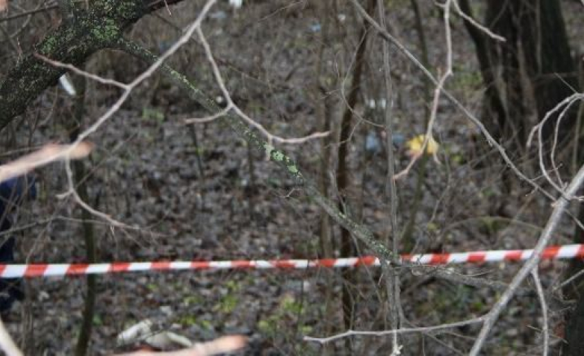 Волгодонцев просят помочь опознать труп пожилого мужчины, найденный в лесополосе в Кагальницком районе