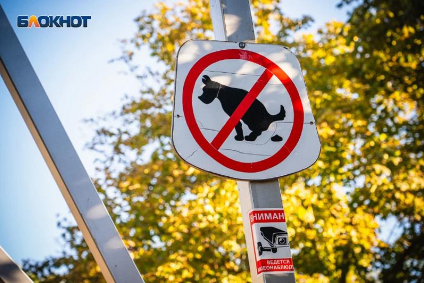 «Выгуливать можно, а какать нельзя»: волгодонцы пожаловались на выгул собак в парке главе администрации