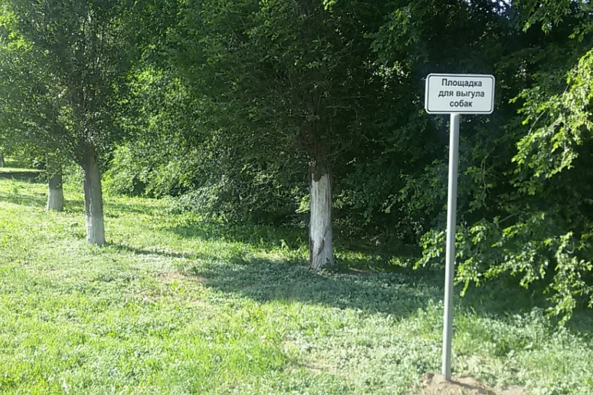 В Волгодонске появились первые площадки для выгула собак