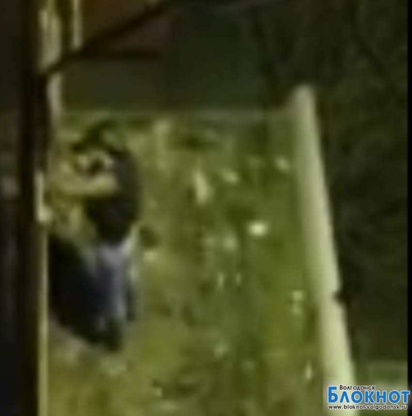 Наша читательница сняла на видео пьяного волгодонца, который залез на козырек подъезда (ВИДЕО)